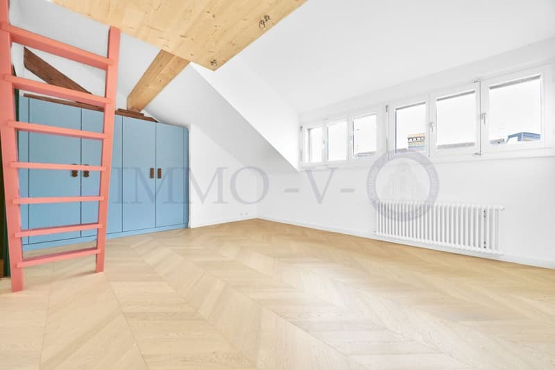 SPACIEUX ATTIQUE RENOVE DE STANDING AVEC EMPLACEMENT IDEAL (7)
