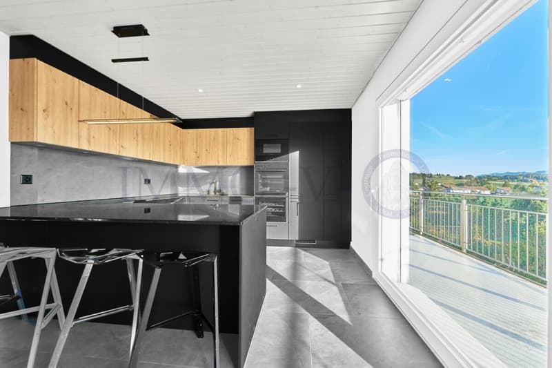 ATTIQUE NEUF DE STANDING AVEC GRAND BALCON ET VUE NATURE (3)