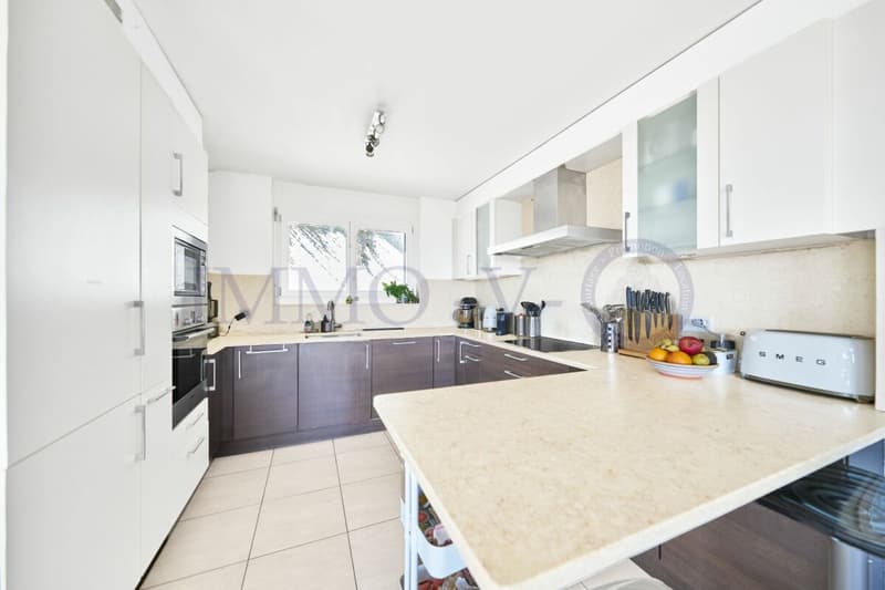 DE STANDING AVEC GRAND JARDIN ET VUE LAC (6)