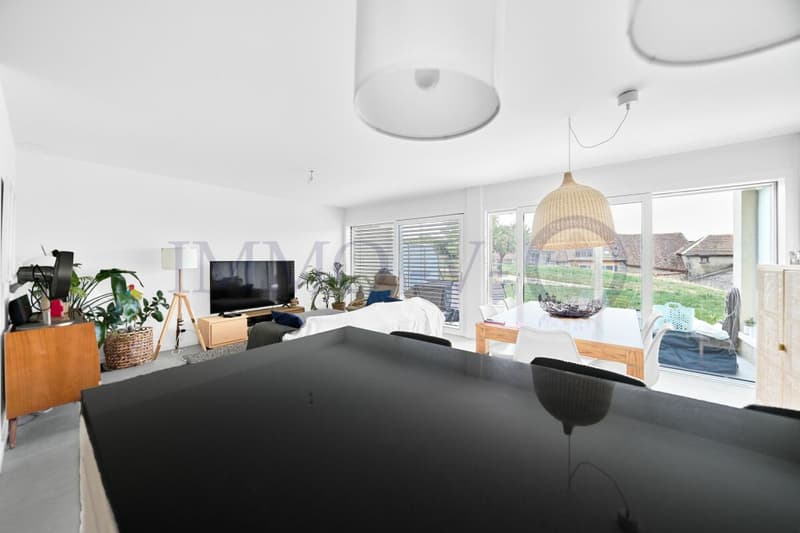 CONTEMPORAINE ET SPACIEUSE AVEC JARDIN AVEC SITUATION IDEALE (4)