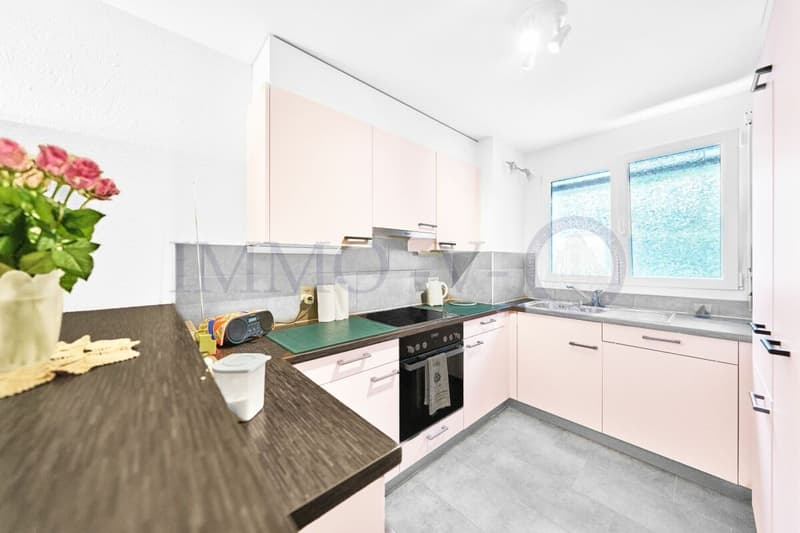 SPACIEUX AVEC GRAND JARDIN ET EMPLACEMENT IDEAL (4)