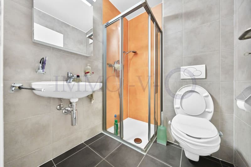 SPACIEUX AVEC GRAND JARDIN ET EMPLACEMENT IDEAL (10)