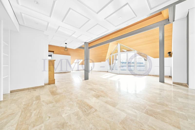 SPACIEUX DUPLEX EN ATTIQUE DE HAUT STANDING AU CENTRE (2)