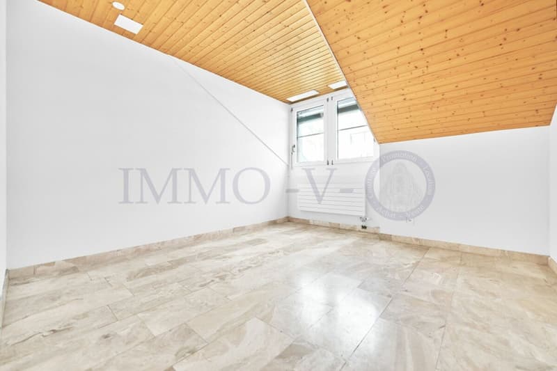 SPACIEUX DUPLEX EN ATTIQUE DE HAUT STANDING AU CENTRE (9)