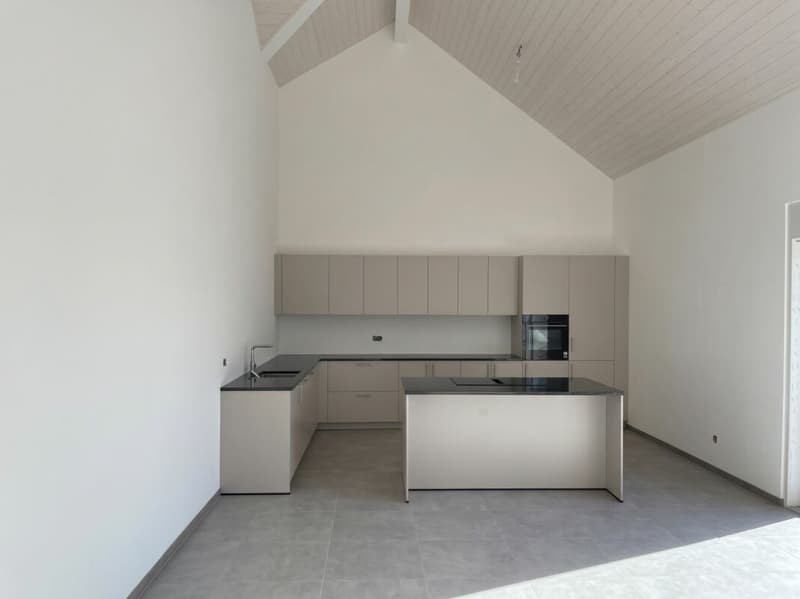 UN LOT D'EXCEPTION AVEC JARDIN, TERRASSE SANS VIS-À-VIS ET VUE MONTAGNES ! (1)
