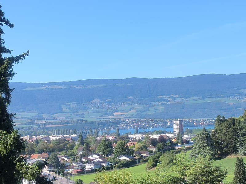 Parcelle avec vue imprenable sur le lac de Neuchâtel et la ville d'Yverdon-Les-Bains (1)
