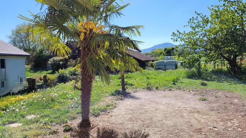 Villa 150 m² à Giez — vue Jura, calme et plein de potentiel (4)