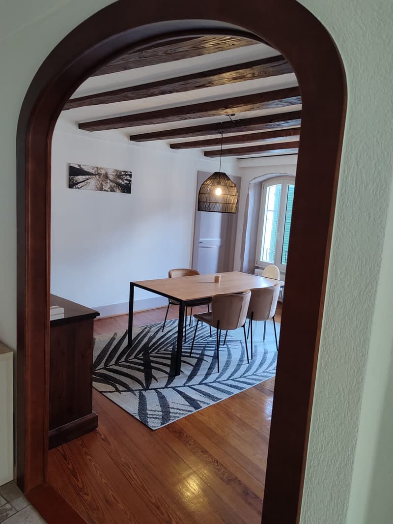 Spacieux duplex de 5.5pièces avec cachet (6)