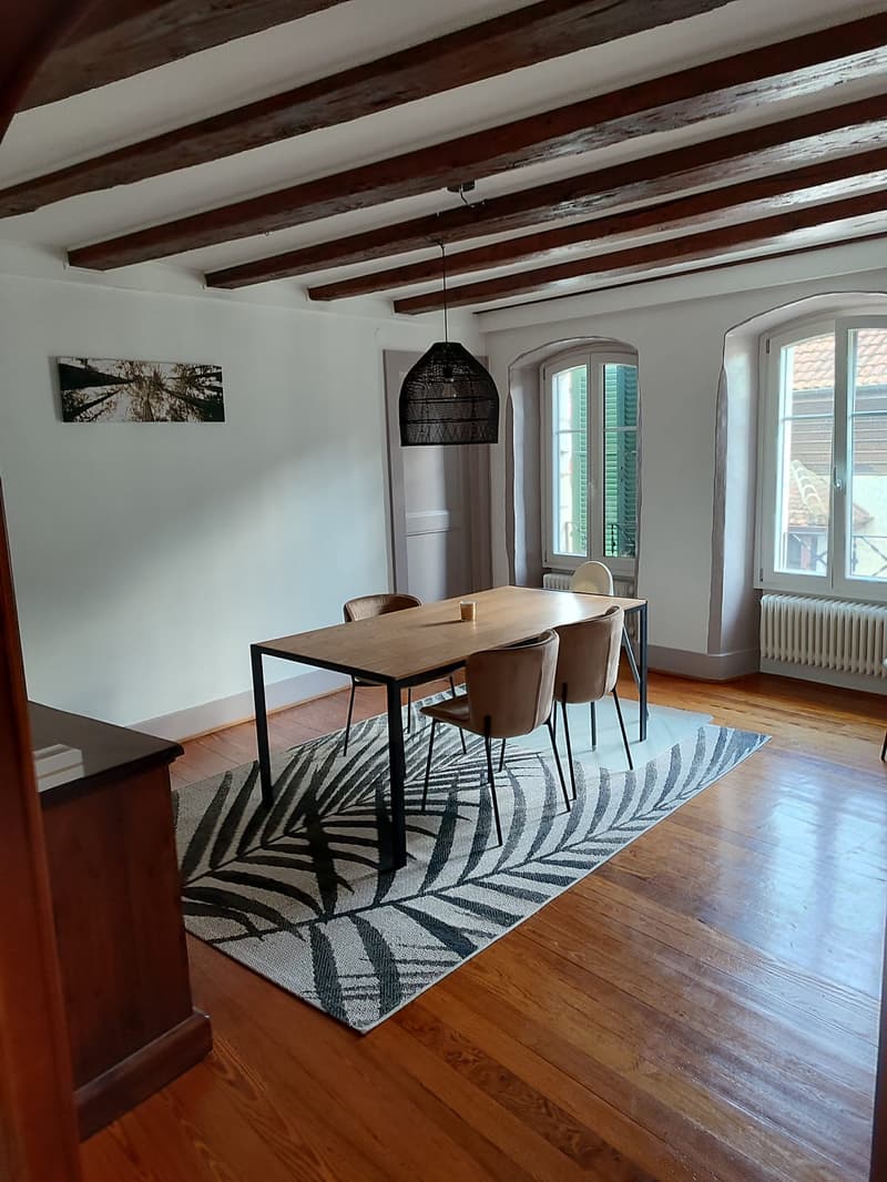 Spacieux duplex de 5.5pièces avec cachet (5)