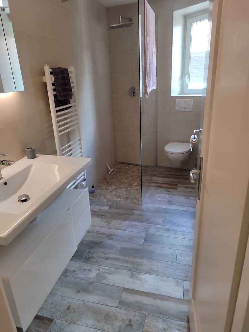 Spacieux duplex de 5.5pièces avec cachet (7)