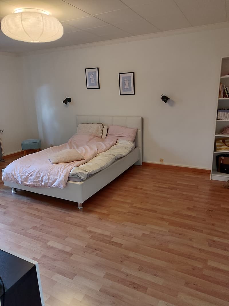 Spacieux duplex de 5.5pièces avec cachet (9)