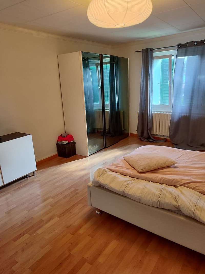 Spacieux duplex de 5.5pièces avec cachet (10)