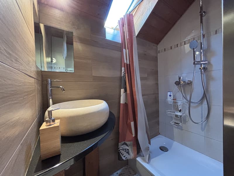 Rare : 2 maisons avec solaire + pompe à chaleur · piscine · 5 min Yverdon (13)
