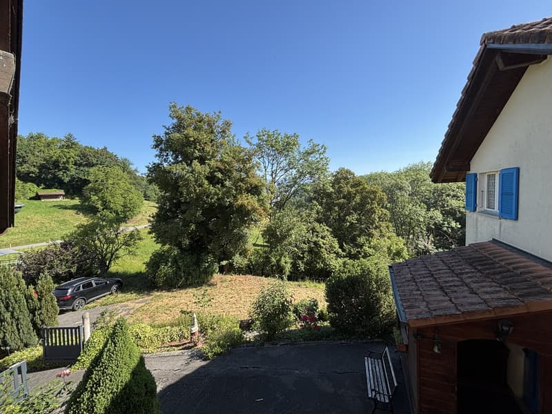 Rare : 2 maisons avec solaire + pompe à chaleur · piscine · 5 min Yverdon (18)