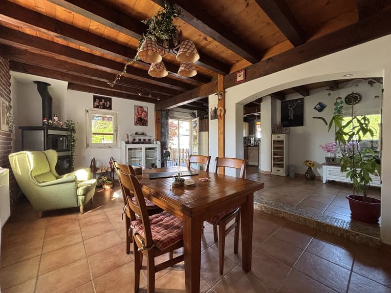Rare : 2 maisons avec solaire + pompe à chaleur · piscine · 5 min Yverdon (10)