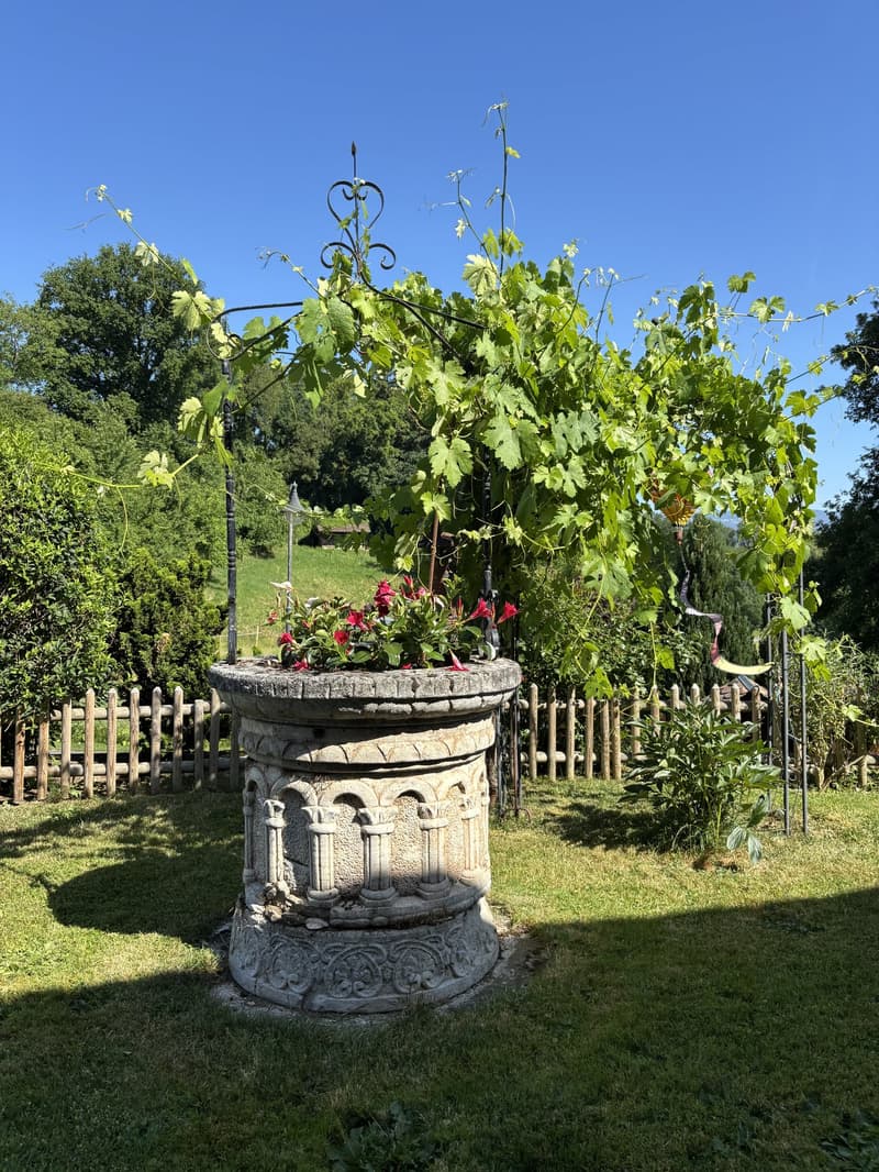 Rare : 2 maisons avec solaire + pompe à chaleur · piscine · 5 min Yverdon (3)