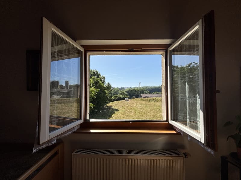 Rare : 2 maisons avec solaire + pompe à chaleur · piscine · 5 min Yverdon (19)