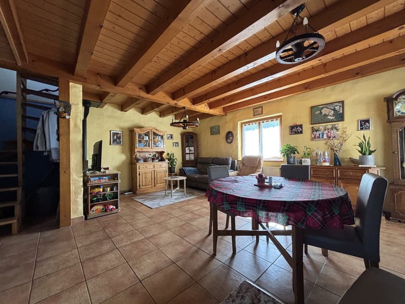 Rare : 2 maisons avec solaire + pompe à chaleur · piscine · 5 min Yverdon (15)