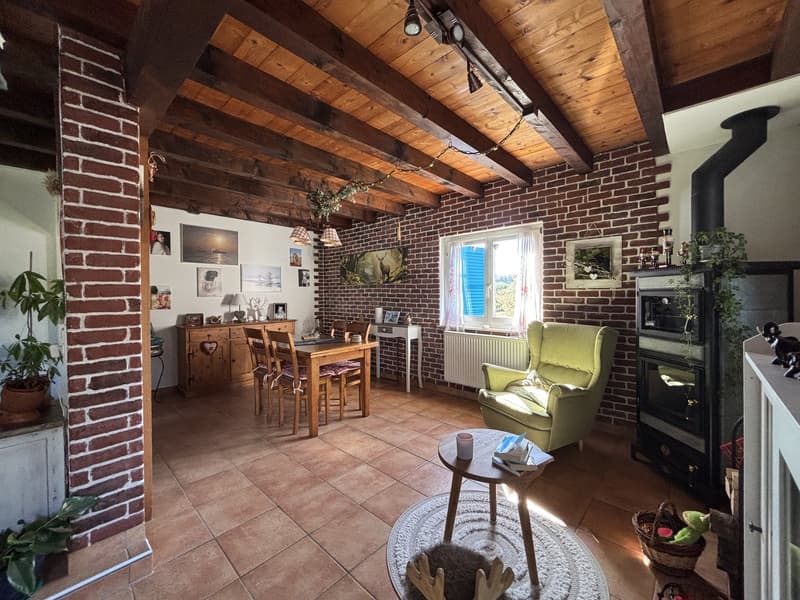 Rare : 2 maisons avec solaire + pompe à chaleur · piscine · 5 min Yverdon (8)