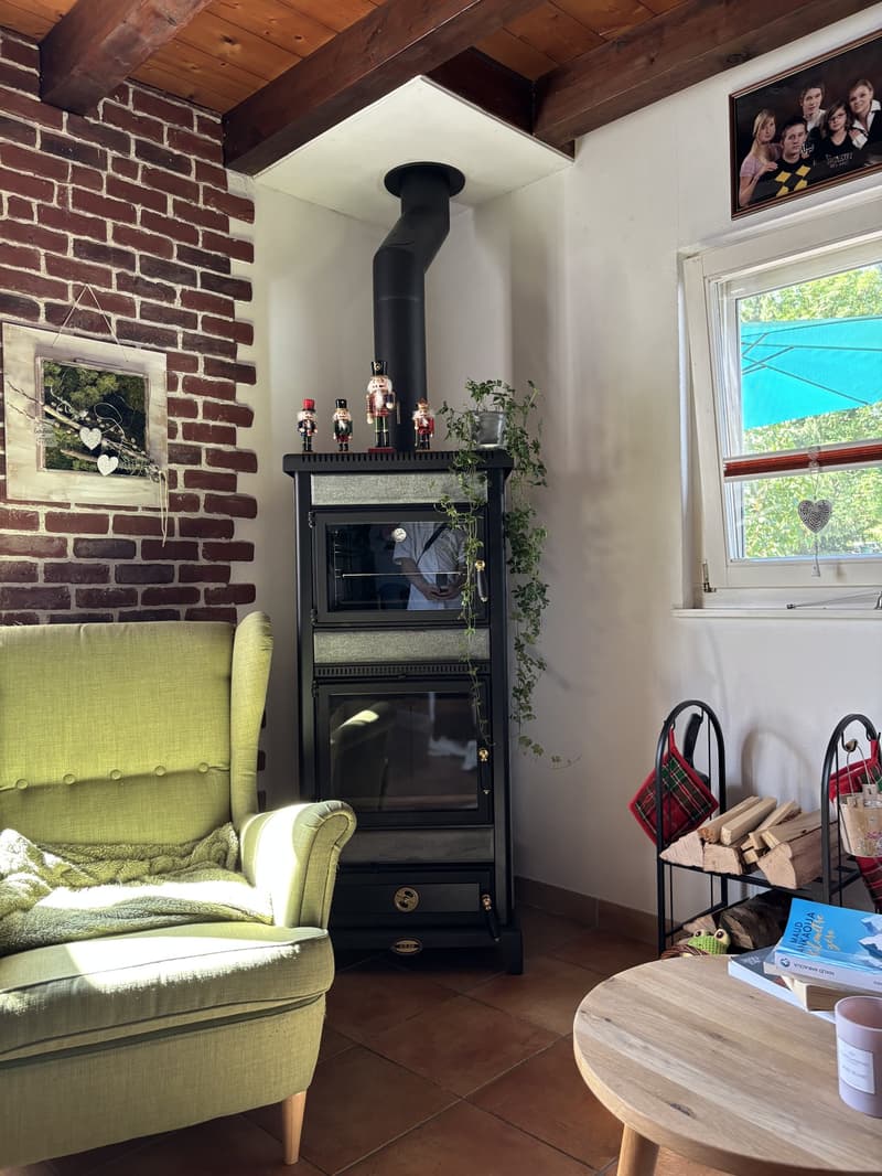 Rare : 2 maisons avec solaire + pompe à chaleur · piscine · 5 min Yverdon (20)