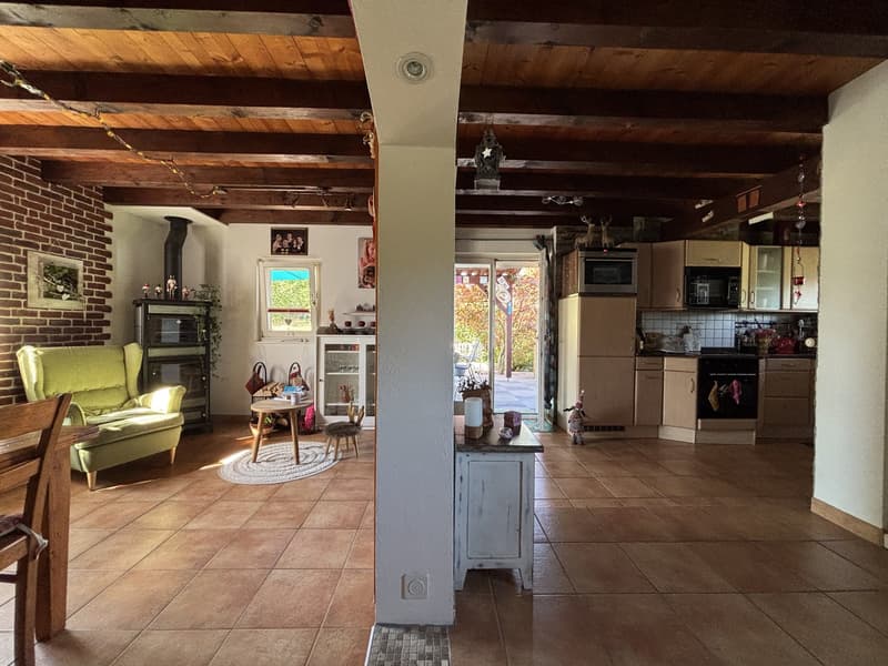 Rare : 2 maisons avec solaire + pompe à chaleur · piscine · 5 min Yverdon (4)