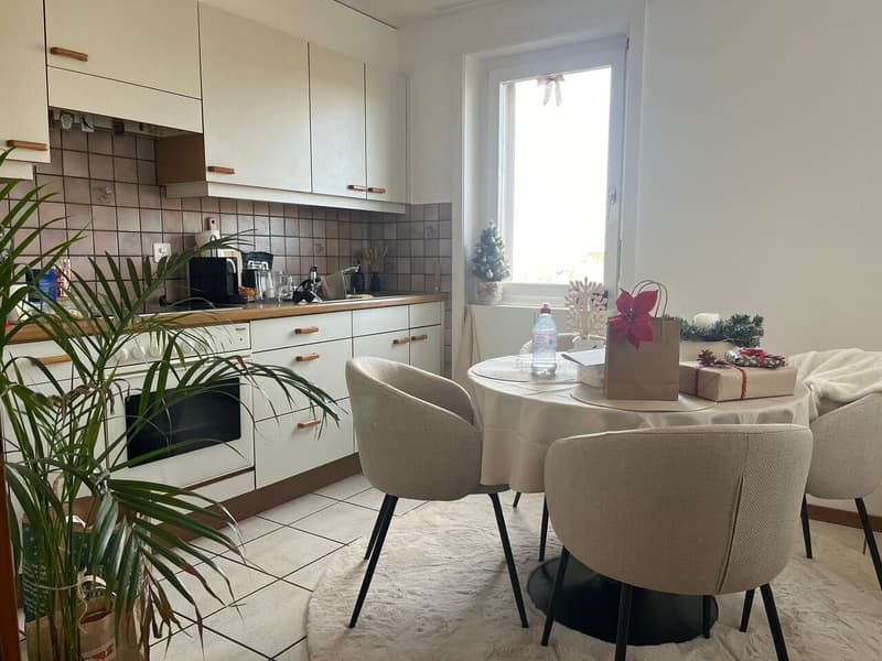 COURTEPIN 1,5 PCES DE 47.2M², BALCON COUVERT, PARKING SOUTERRAIN, CAVE (2)