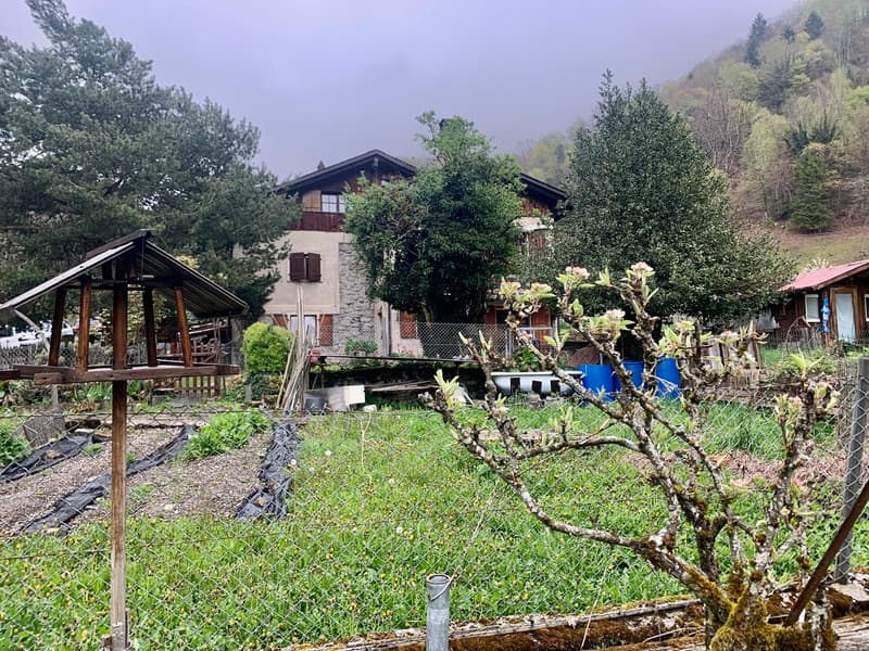 A voir absolument maison de 3 appartements sise au calme dans un écrin de nature (2)