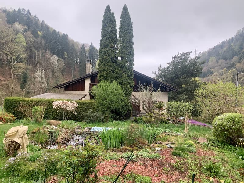 A voir absolument maison de 3 appartements sise au calme dans un écrin de nature (3)