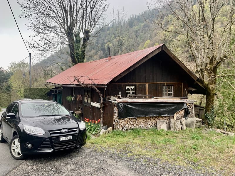 A voir absolument maison de 3 appartements sise au calme dans un écrin de nature (7)