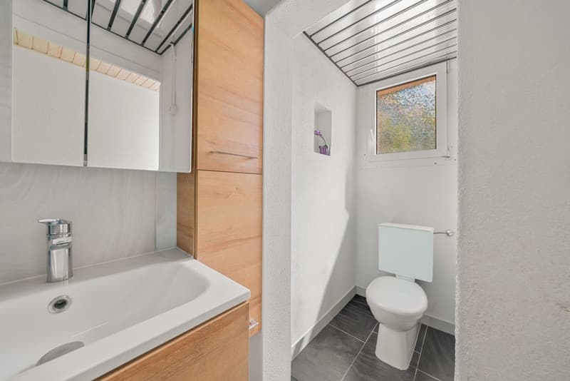 Immeuble de 2 lots (9)