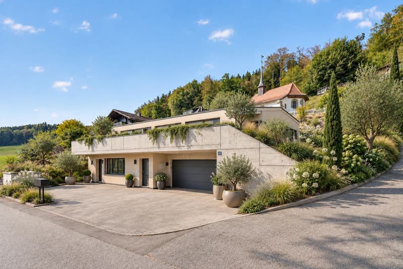 NEUF 2025 - UNE VILLA CONTEMPORAINE AUX MULTIPLES POSSIBILITÉS (1)