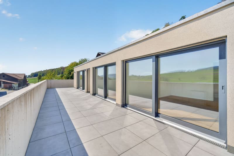 Appartement neuf de 4,5 pièces avec terrasses et vue sur les Préalpes (2)