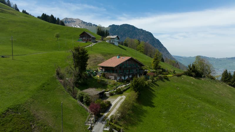 Einzigartige Villa im Chaletstil mit Panoramasicht auf See und Berge (1)