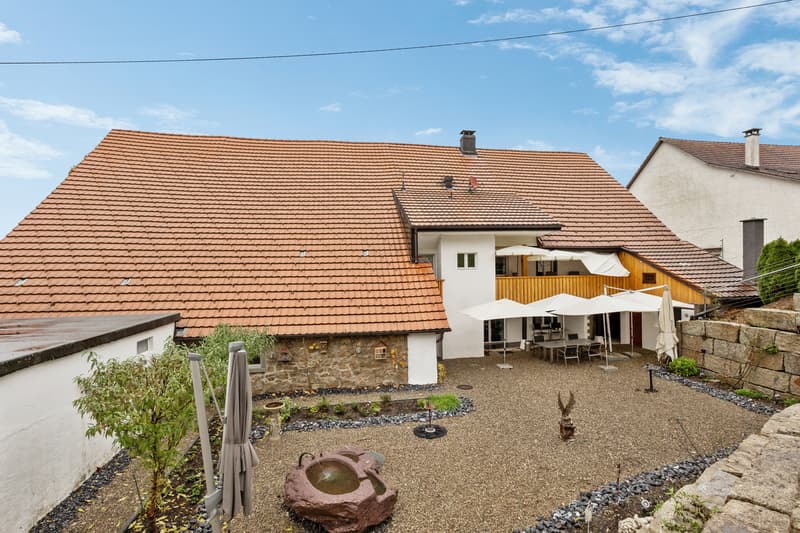 Charmantes und renoviertes Bauernhaus mit grossem Grundstück (1)