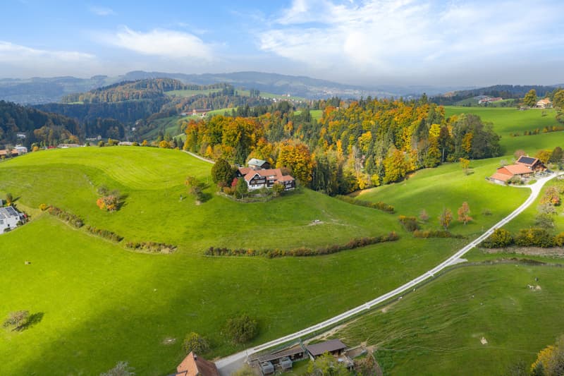 Alpine View (1)