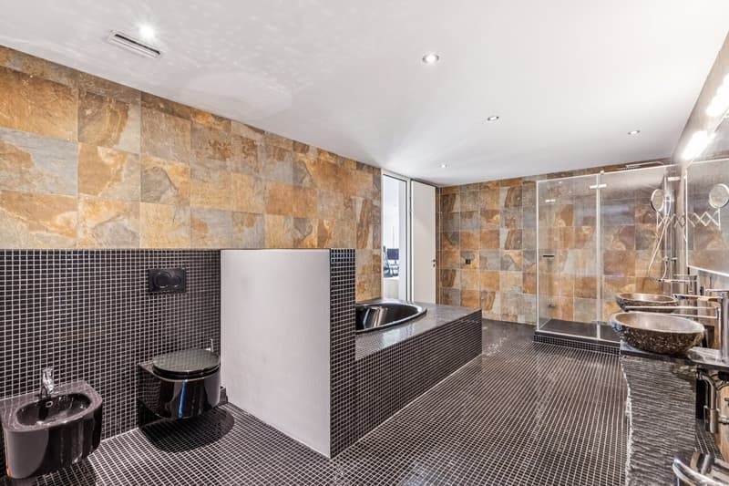 Maisonette-Wohnung mit grosszügigem Wohnatelier (3)