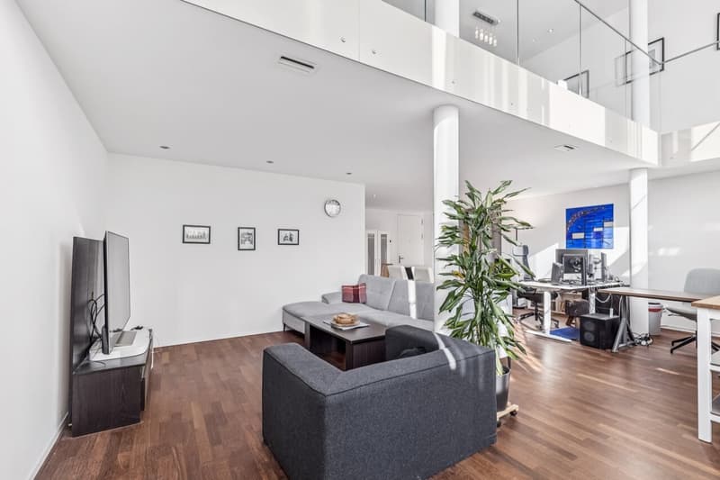 Maisonette-Wohnung mit grosszügigem Wohnatelier (3)