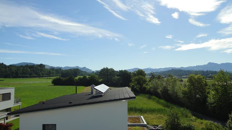 Attraktive Attikawohnung im Grünen (3)