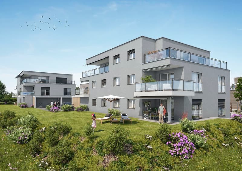 Attraktive Attikawohnung im Grünen (1)