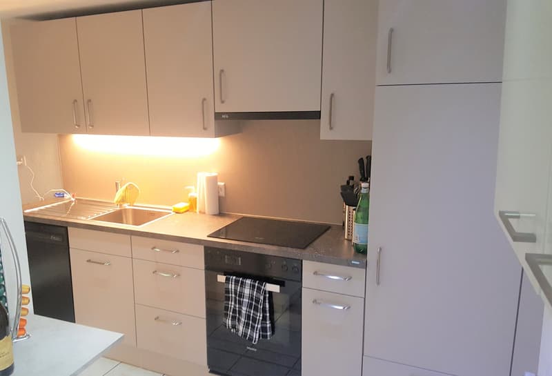 Sehr zentrale Wohnung in Seenähe (2)