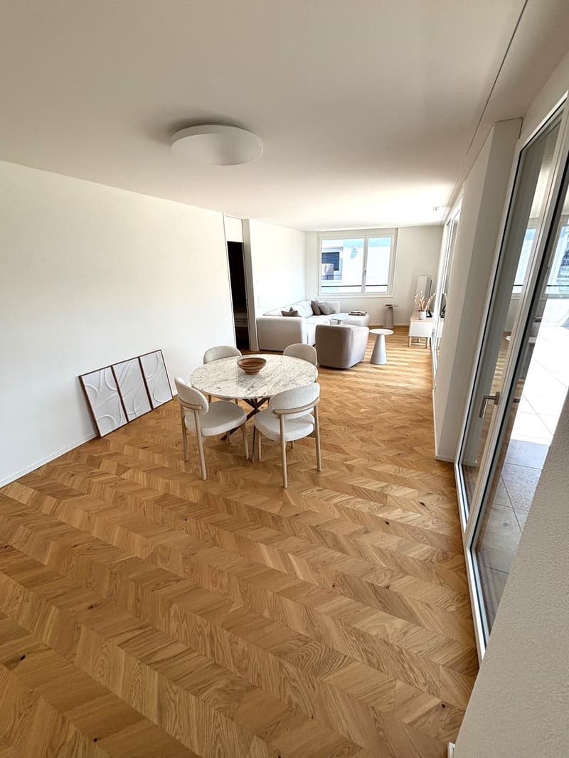 Attika: urbanes Wohnen mit viel Platz über den Dächern von Rapperswil-Jona! (2)
