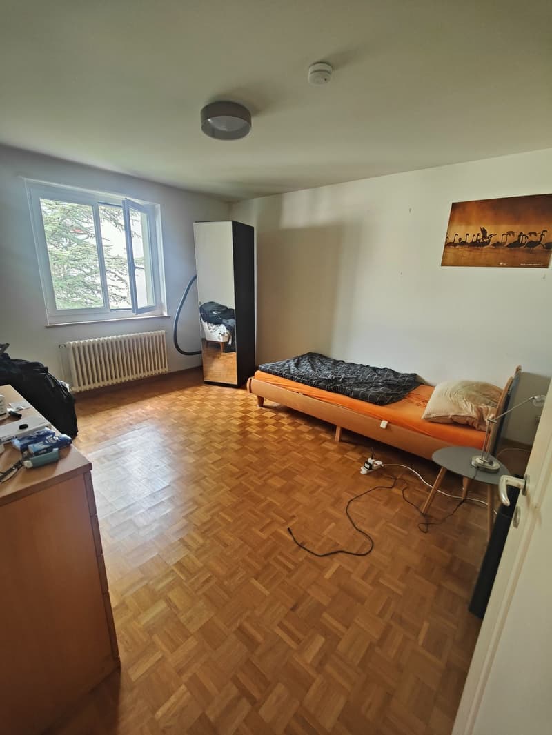 Sehr zentrale und ruhige 3-Zimmerwohnung zu vermieten! (6)
