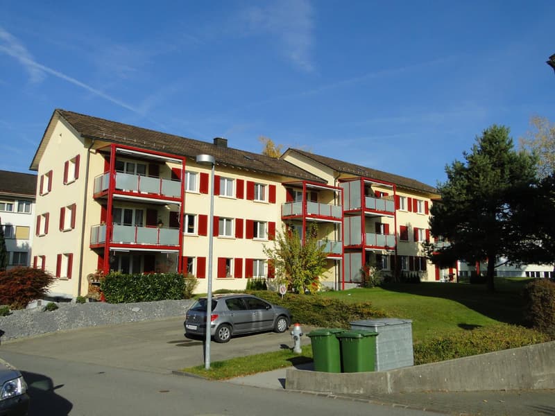 Sehr zentrale und ruhige 3-Zimmerwohnung zu vermieten! (1)