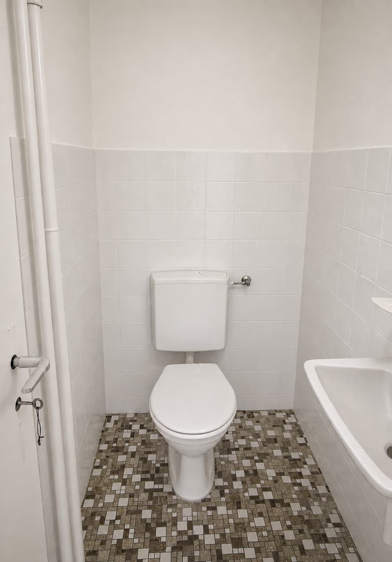 Ihr neues Zuhause - grosszügige Wohnung! (9)