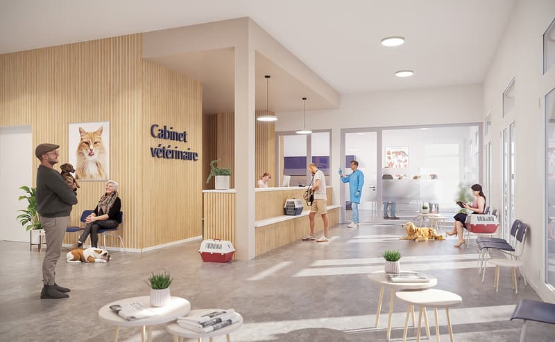 Opportunité exceptionnelle pour vaudbureau / cabinet médical: medecins, psychologues, pédiatres, dentistes, etc. de 85 à 114 m2 (5)