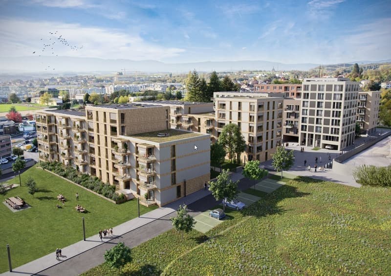 Appartement de 2.5 pièces à louer Quartier de lOrée à Crissier (1)