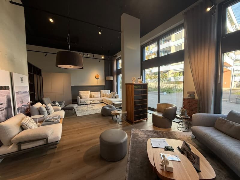 Gewerbefläche(n) im Erdgeschoss zu vermieten (201m2/402m2/603m2) (5)