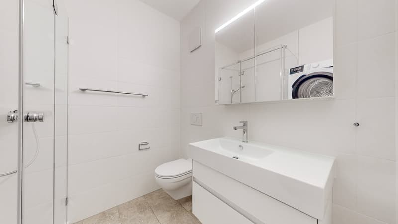 Grosse und helle 2.5 Zimmerwohnung im 2.OG (4)
