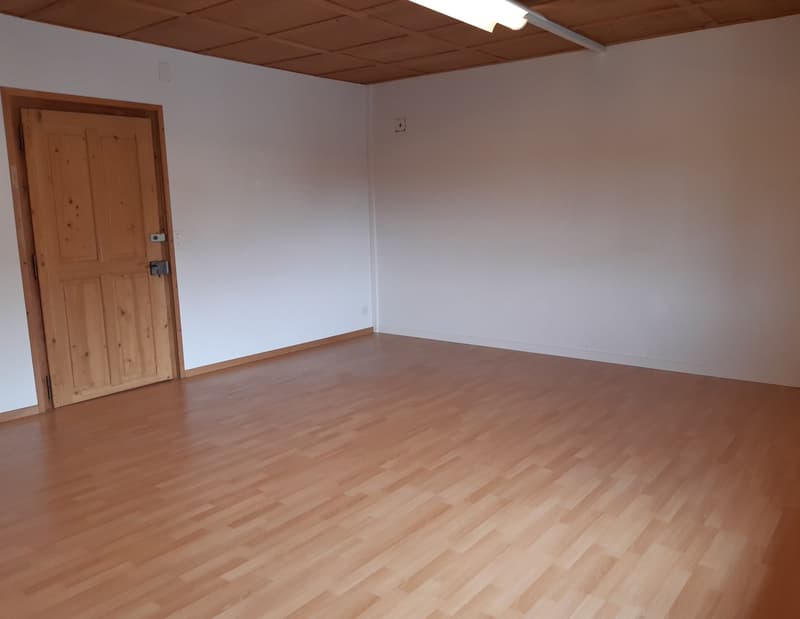 Büro/Praxisraum 20 m2 (2)