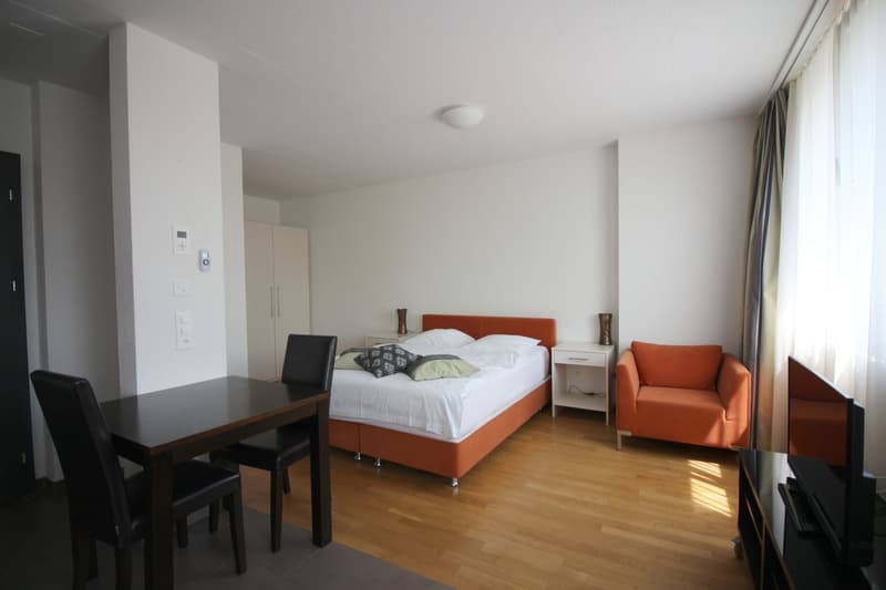 Modernes 2.5 Zimmer Apartment in Oerlikon (2)